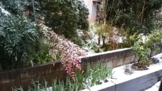 2018年3月21日春分の日の雪景色